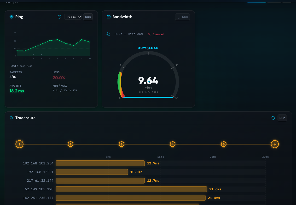 OptiWize Troubleshooting — ping, bandwidth, traceroute
